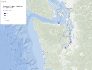 Map of Crab Team sites highlighting the five sites that have caught midshipmen